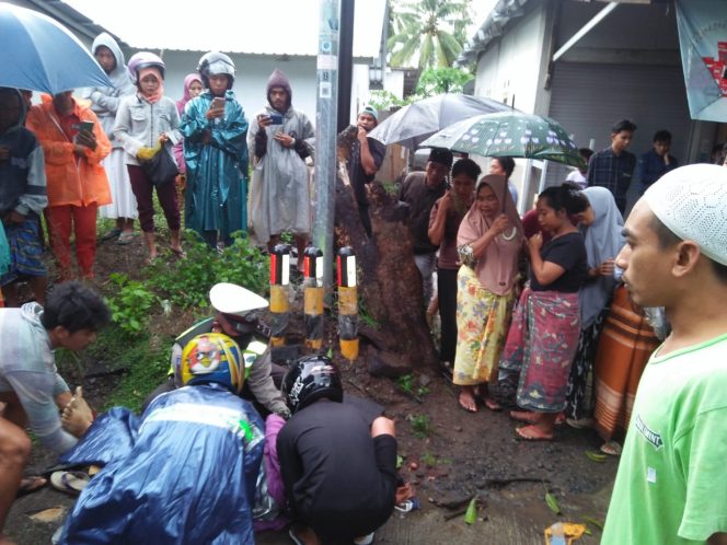 
 Mobil Pick Up Angkut 14 Orang Tabrak Pohon, Satu Korban Meninggal Dunia di Lombok Utara