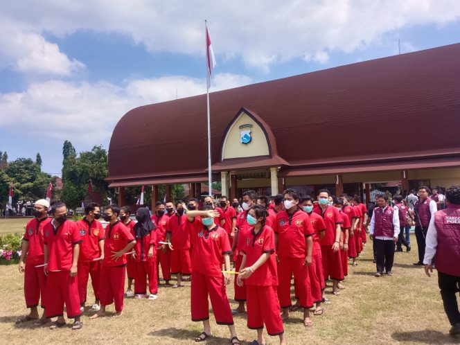
 Polda NTB Bongkar 4 Kasus Besar Narkoba, Sabu hingga Ganja Disita