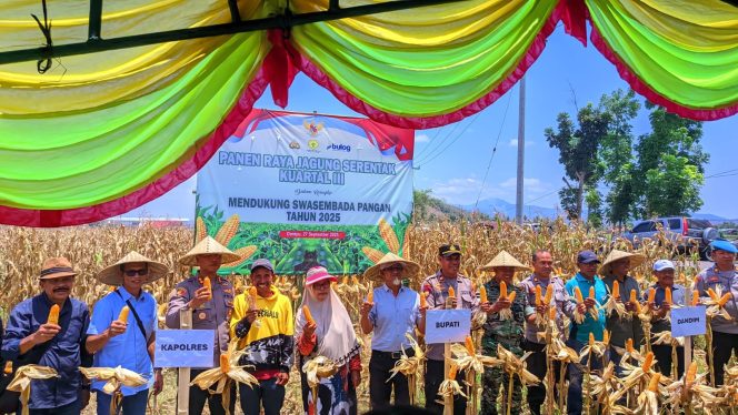 
 Kuartal III, Polres Dompu Pimpin Panen Raya Jagung Serentak di Kecamatan Kempo