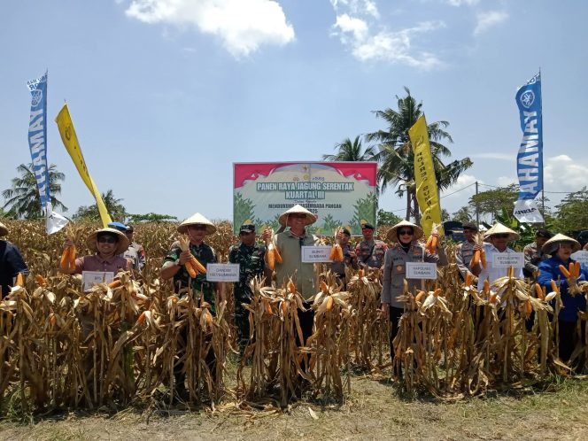 
 Bupati Sumbawa Pimpin Panen Raya Jagung, Targetkan Swasembada Pangan 2025
