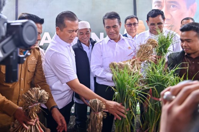 
 Mentan Tetapkan NTB Calon Sentra Bawang Putih dan Jagung Nasional
