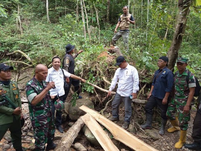 
 Empat Titik Ilegal Logging Terbongkar di Ai Beling, Satgas Sumbawa Siap Kejar Pelaku