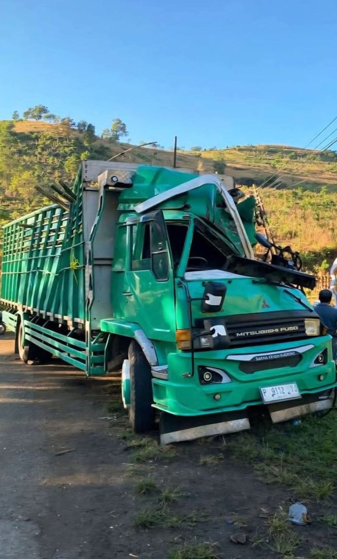 
 Truk Fuso Angkut Sapi Terguling di Manggelewa, Dua Orang Tewas