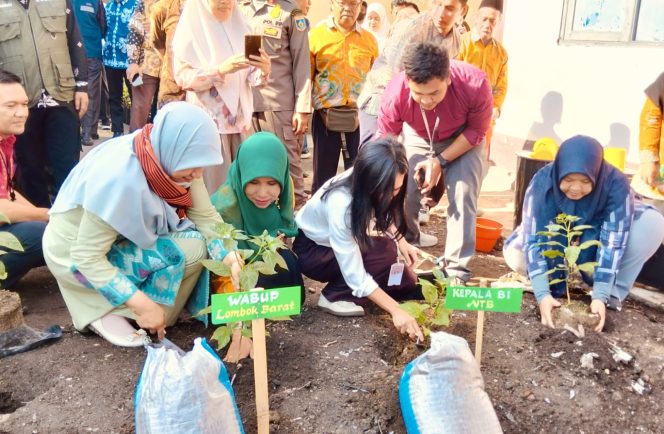 
 Cabai Ditanam di Sekolah, Wabup UNA: Langkah Kecil Bisa Berdampak Besar bagi Ekonomi Daerah